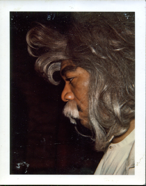 Portroids: Steve Bannos Collection - Morgan Freeman Polaroid