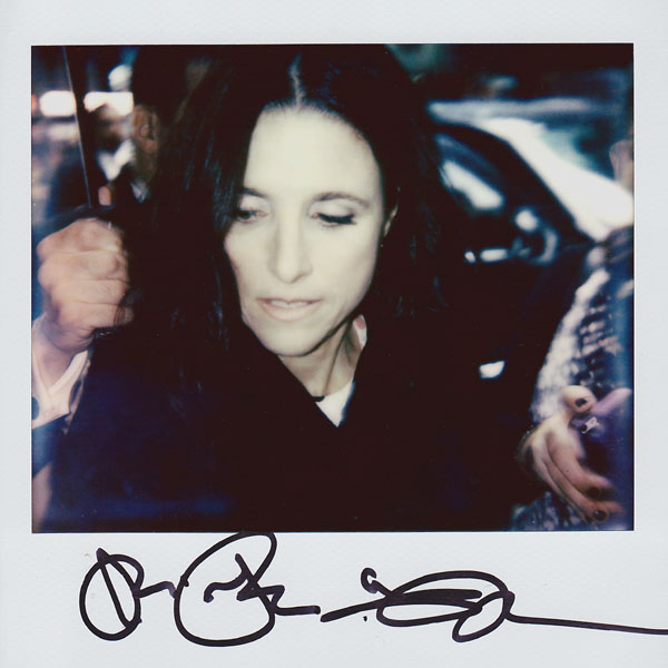 Portroids: Portroid of Julia Louis-Dreyfus