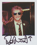 Portroids: Portroid of Rod Stewart