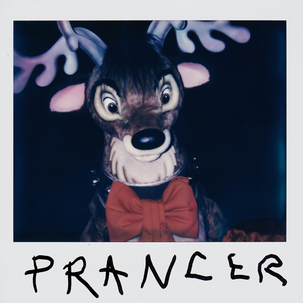 Portroids: Portroid of Prancer