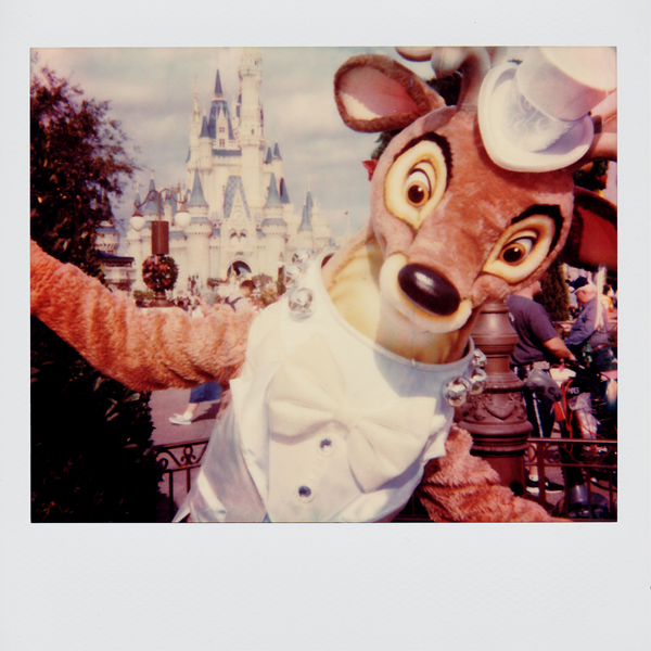 Portroids: Portroid of Left Reindeer