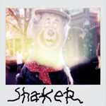 Portroids: Portroid of Shaker