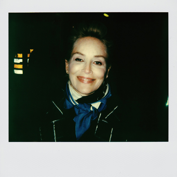 Portroids: Portroid of Sharon Stone