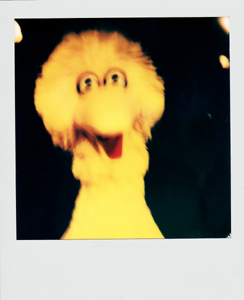 Portroids: Portroid of Big Bird