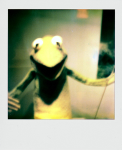 Portroids: Portroid of Kermit the Frog