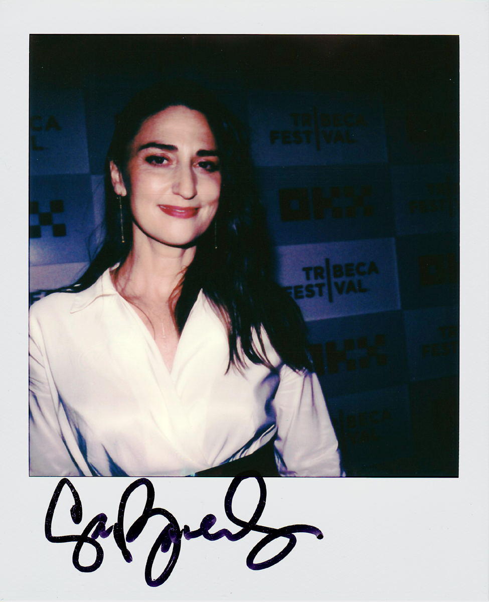 Portroids: Portroid of Sara Bareilles