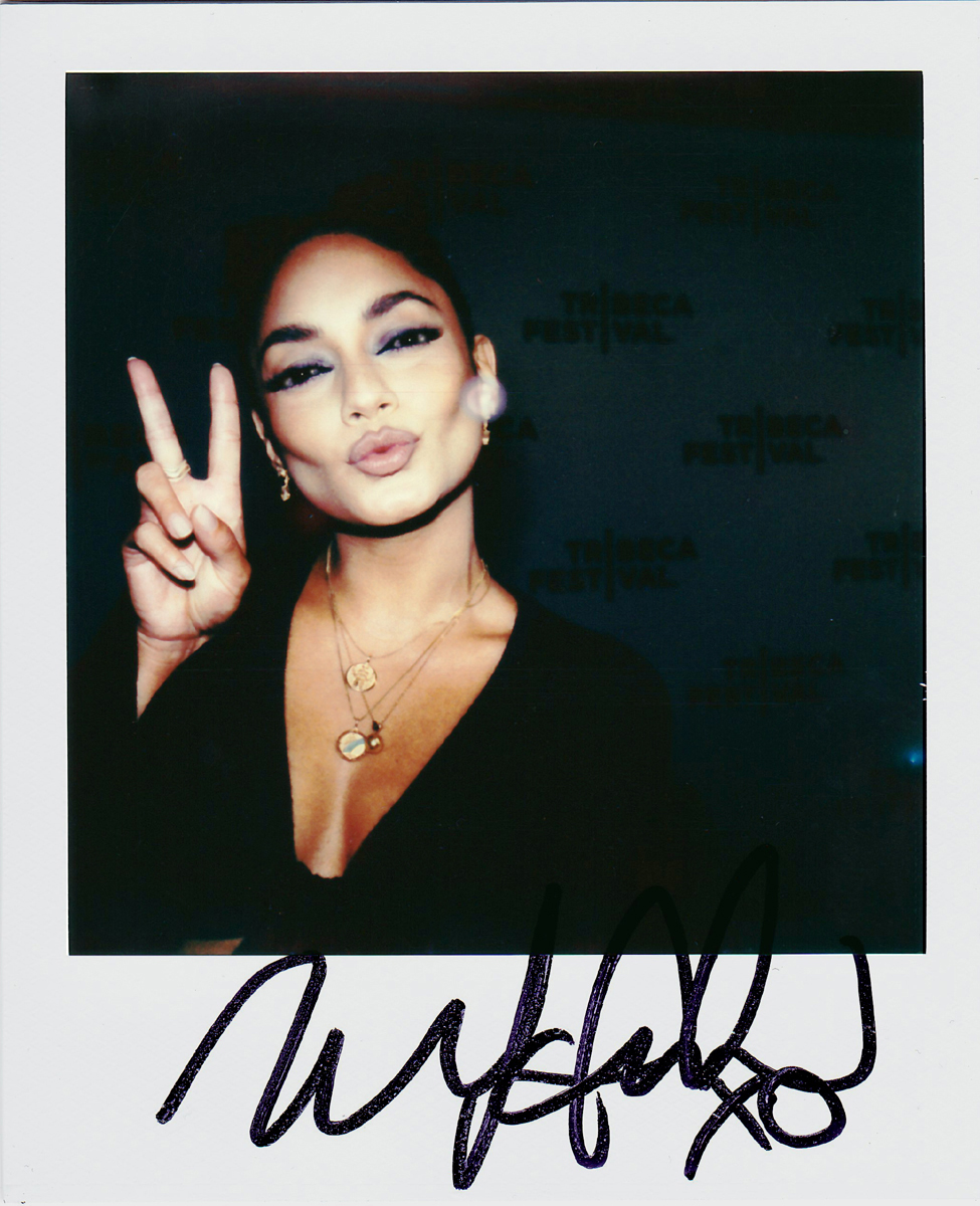 Portroids: Portroid of Vanessa Hudgens