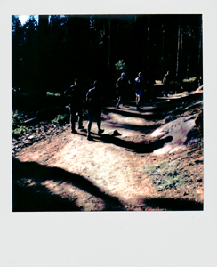 Portroids: Portroid of Hiking