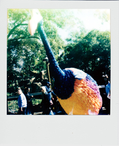 Portroids: Portroid of Kevin