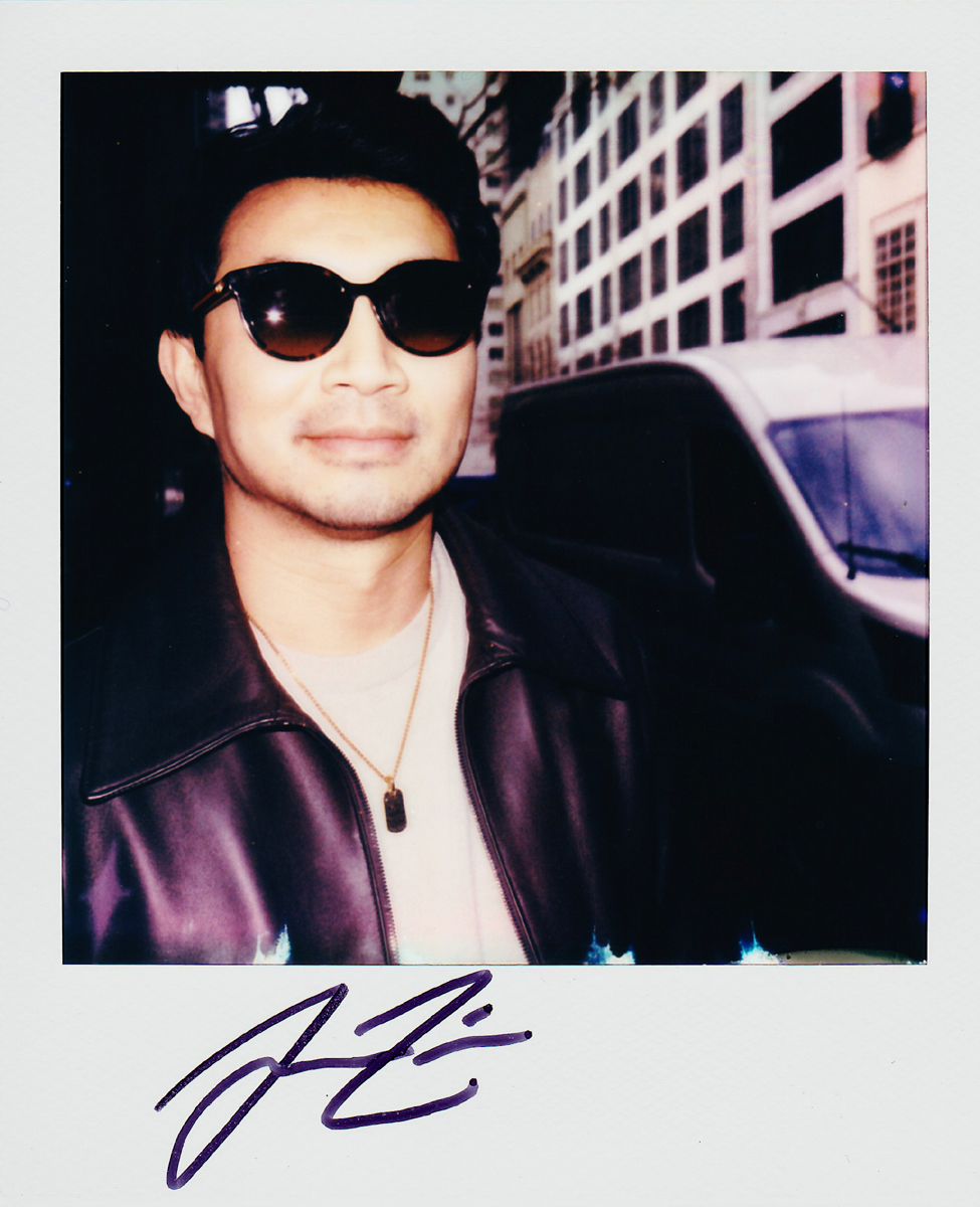 Portroids: Portroid of Simu Liu
