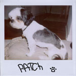 Portroids: Portroid of Patch DeMint