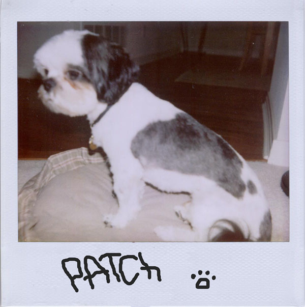 Portroids: Portroid of Patch DeMint