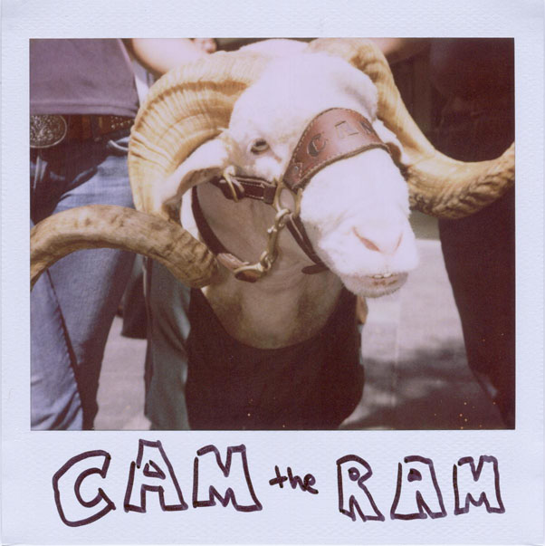 Portroids: Portroid of Cam The Ram