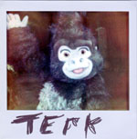 Portroids: Portroid of Terk