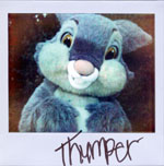Portroids: Portroid of Thumper