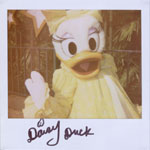 Portroids: Portroid of Hollywood Daisy Duck