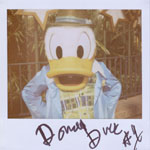 Portroids: Portroid of Hollywood Donald Duck