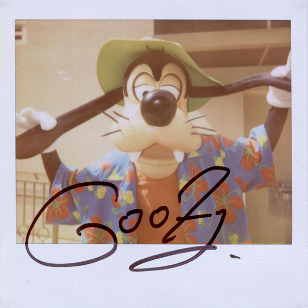 Portroids: Portroid of Tourist Goofy